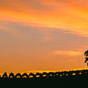 Silhouette Of Vineyard At Sunset, Paso Poster