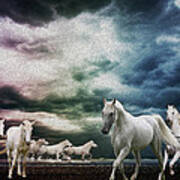 Sky Horses Poster