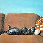 Sleeping Cat Poster