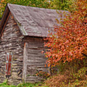 Small Wooden Shack In The Autumn Colors Poster