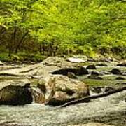 Smoky Mountain Stream Poster