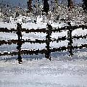 Snow Covered Fence Poster