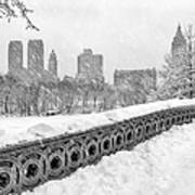 Snow In Central Park Nyc Poster