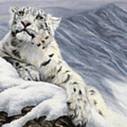 Snow Leopard Poster
