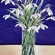 Snowdrops Poster