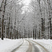 Snowy Road In Oak Openings 7058 Poster