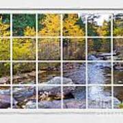 Special Place In The Woods Large White Picture Window View Poster