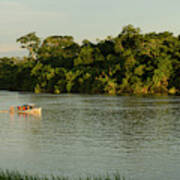 Speed Boat, Napo River, Amazon Poster