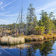 Speedwell Pond Poster