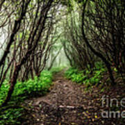 Spooky Trail Poster