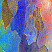 Spring Eucalypt Abstract 10 Poster
