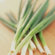 Spring Onions Poster