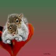 Squirrels Valentine Poster