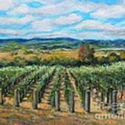 Stags' Leap Vineyard Poster