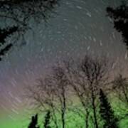 Star Trails And Aurora Over Trees Poster