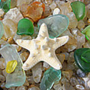 Starfish Fine Art Photography Seaglass Coastal Beach Poster