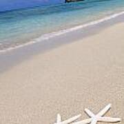 Starfish On Beach Poster