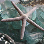 Starfish With Sea Glass Poster