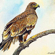 Steppe Eagle Poster