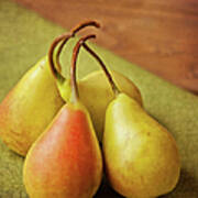 Still Life Of Pears Poster