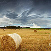 Straw Bales Pano Poster