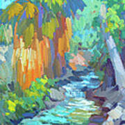 Stream At Indian Canyon Poster