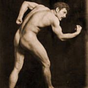 Study Of A Male Nude Poster