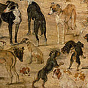 Study Of Hounds, 1616 Poster