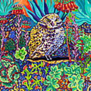 Succulent Burrowing Owl Poster