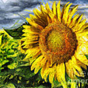 Sunflower Drawing Poster