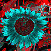 Sun Flower Reverse Poster