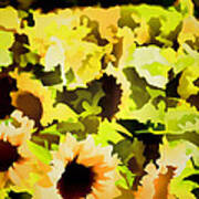 Sunflower 34 Poster