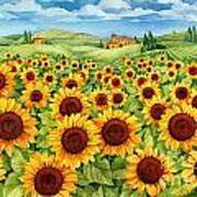 Sunflower Field Poster