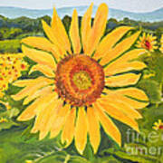 Sunflower - Burst Of Color Poster