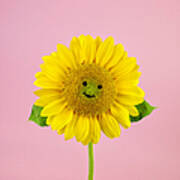 Sunflower Smiley Face Poster