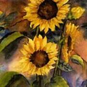 Sunflowers For Cyndi Poster