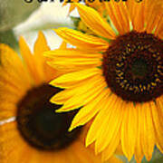 Sunflowers Just For You Poster