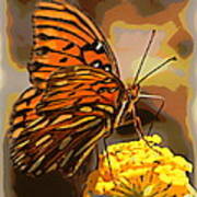 Sunlite Orange Butterfly Poster