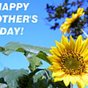 Sunny Mother's Day Poster