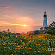 Sunrise Bliss At Portland Lighthouse Poster