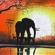 Sunrise In Africa Poster