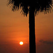 Sunrise In Daytona Beach Poster