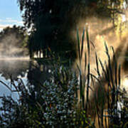 Sunrise Mist At A Marsh Poster