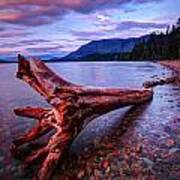 Sunrise On Lake Mcdonald Poster