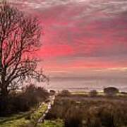 Sunrise Over Decomade Pasture In County Clare Poster