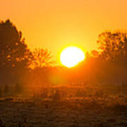 Sunrise Over Field Poster