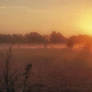 Sunrise Over Foggy Pastures Poster