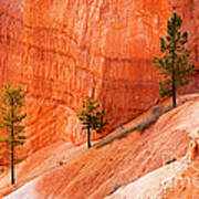 Sunrise Point Bryce Canyon National Park Poster