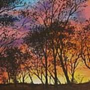 Sunset Ablaze Through The Trees Poster