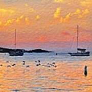 S Sunset Harbor With Birds - Square Poster